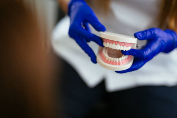 Best Laser Dentistry  in Roosevelt Gardens, FL